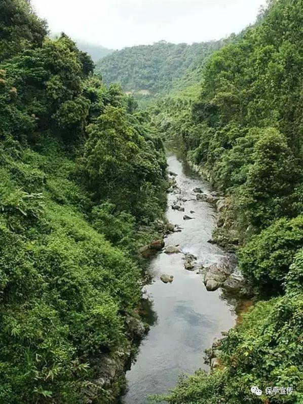 这是出自哪部动画片的？游戏画面
