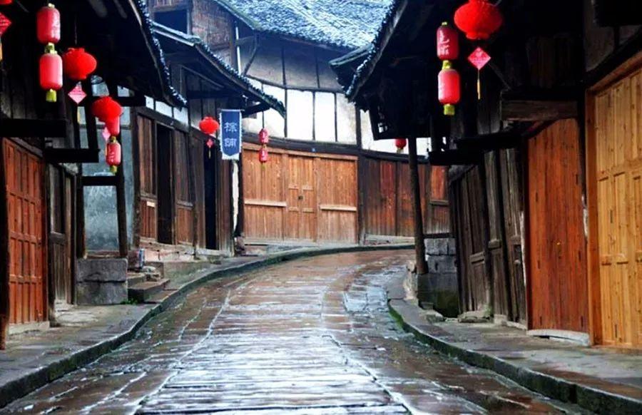 救援小棕兔